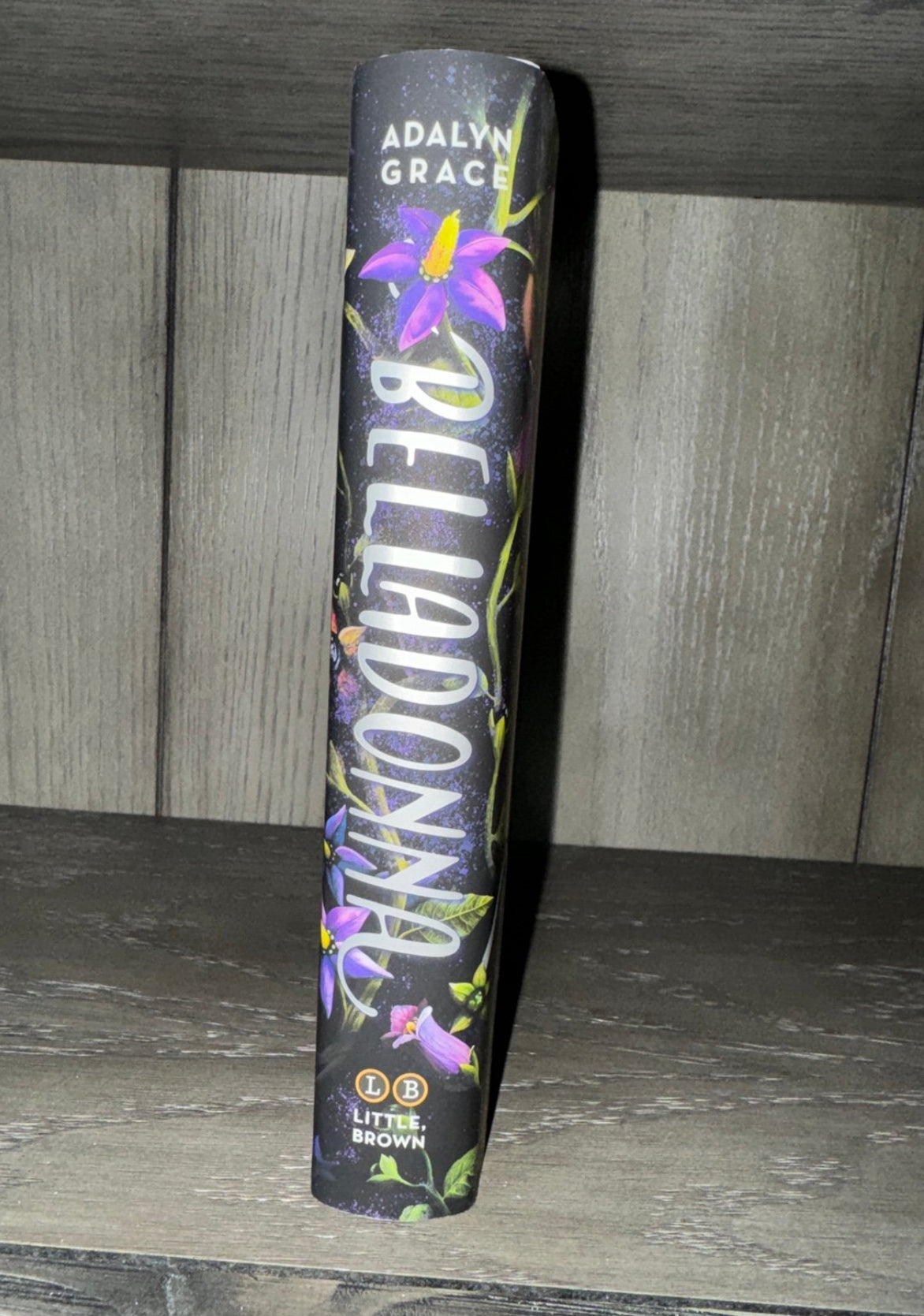 FIRST EDITION Belladonna by Adalyn Grace